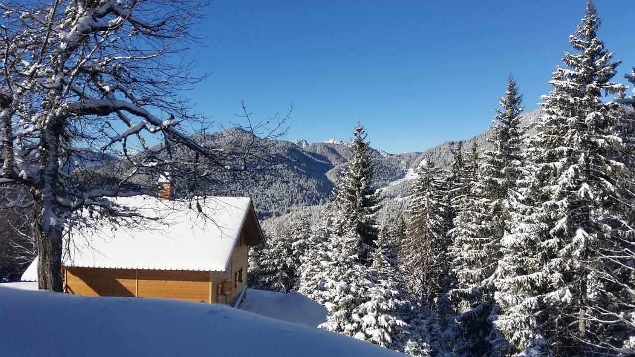 Agriturismo Gacceman Villa Ugovizza Kültér fotó